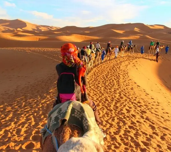 camel ride in morocco