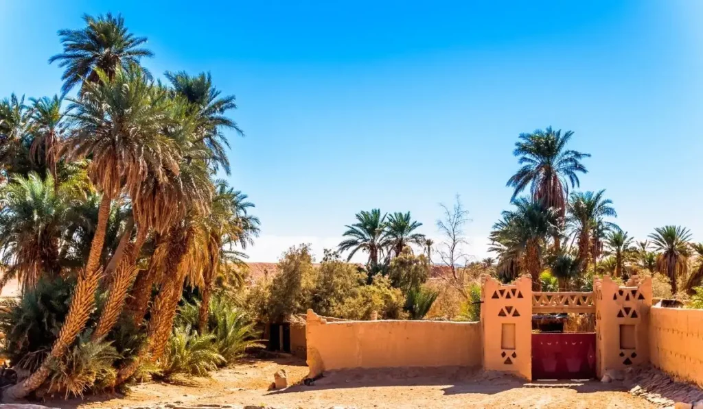 3-Day Exclusive Sahara Desert Tour from Fes