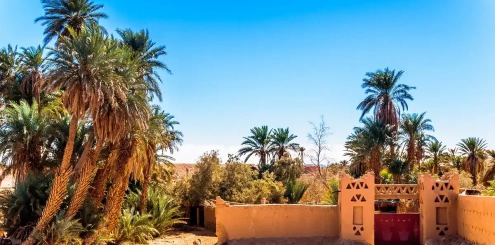 3-Day Exclusive Sahara Desert Tour from Fes