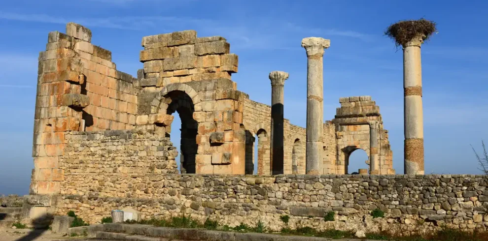 One-Day Private Trip from Fes to Meknes, Volubilis & Moulay Idriss