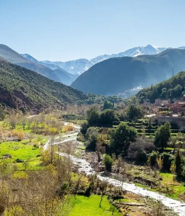 Full-Day Trip from Fes to the Middle Atlas & Cedar Forests