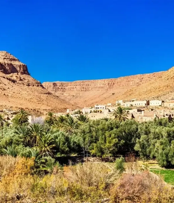 10 Days in Morocco: Hidden Cities, Secret Valleys & Sahara Odyssey