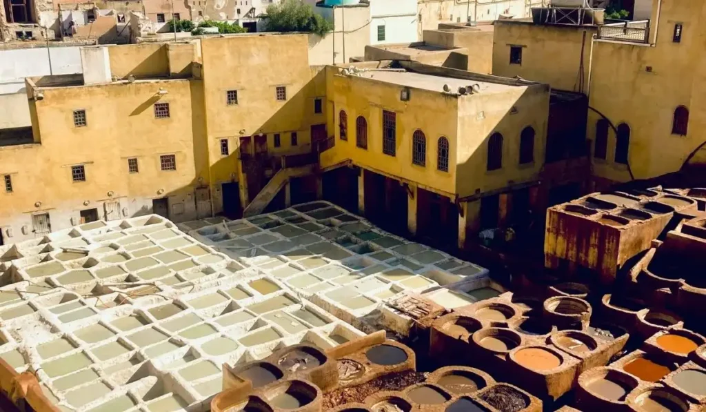 Full-Day Trip from Fes to the Middle Atlas & Cedar Forests