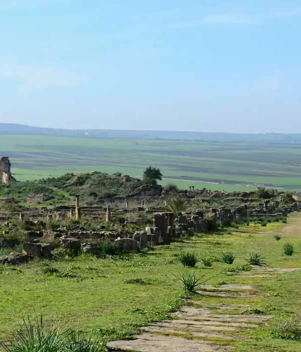 One-Day Private Trip from Fes to Meknes, Volubilis & Moulay Idriss